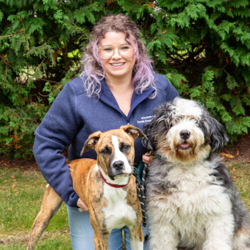 About Us South Deerfield Veterinary Clinic