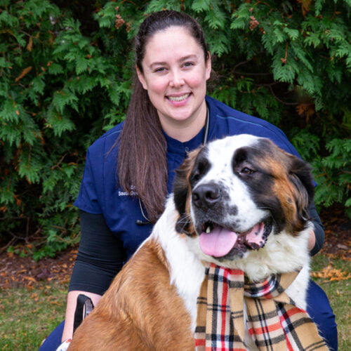 About Us South Deerfield Veterinary Clinic