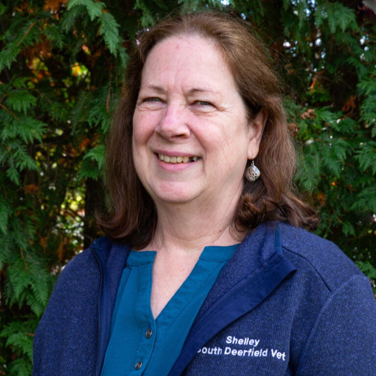 About Us South Deerfield Veterinary Clinic