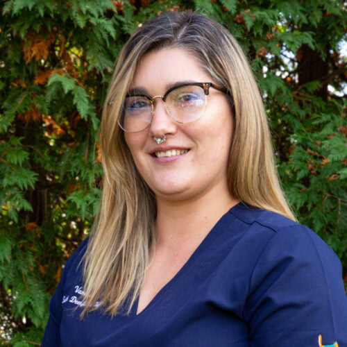 About Us South Deerfield Veterinary Clinic